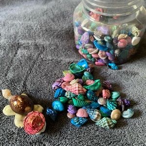 Painted Seashells Plus A Seashell Turtle Friend :)